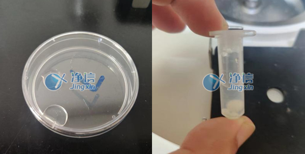 水凝膠樣品研磨前后效果圖