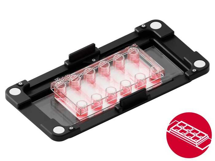 1734576091193259.jpg 1734576091193259.jpg