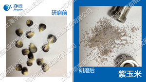 多樣品組織研磨機,快速組織研磨機,多樣品組織勻漿機