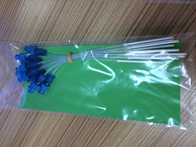 實驗室一起大王展示RHIZON SMS&nbsp;搜集根際土壤溶液采集器