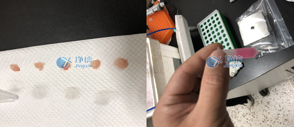 實(shí)驗(yàn)結(jié)果